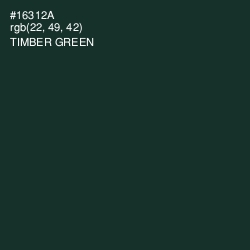 #16312A - Timber Green Color Image